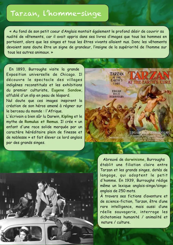 Tarzan et les tarzanides : les seigneurs de la jungle