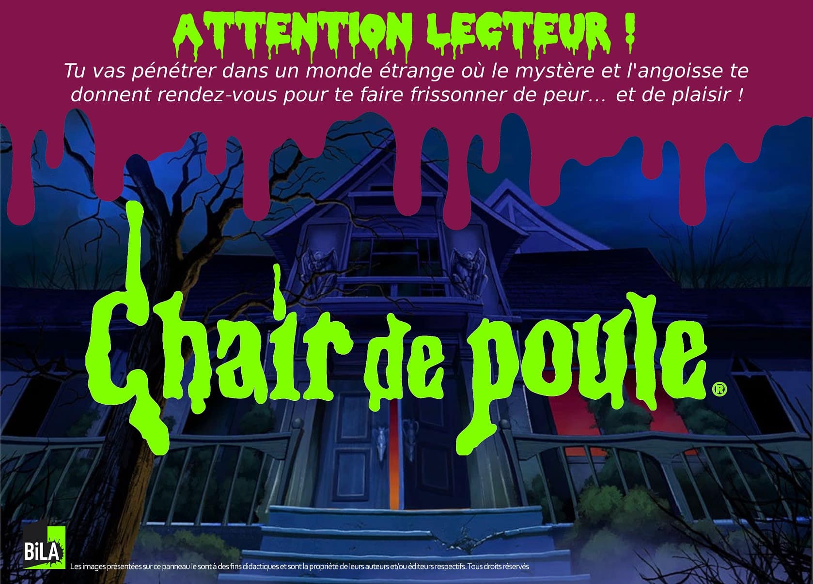 Chair de Poule